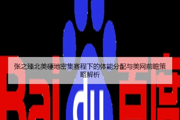 张之臻北美硬地密集赛程下的体能分配与美网前瞻策略解析